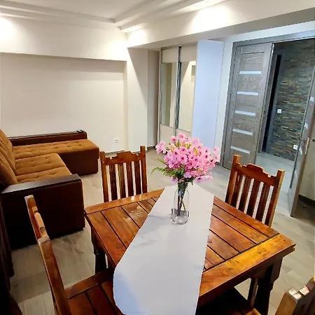2br+living Downtown Apartment
